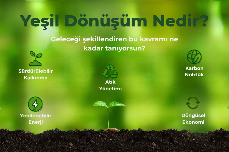 Yeşil Dönüşüm Nedir ve Temel Kavramları Nelerdir?